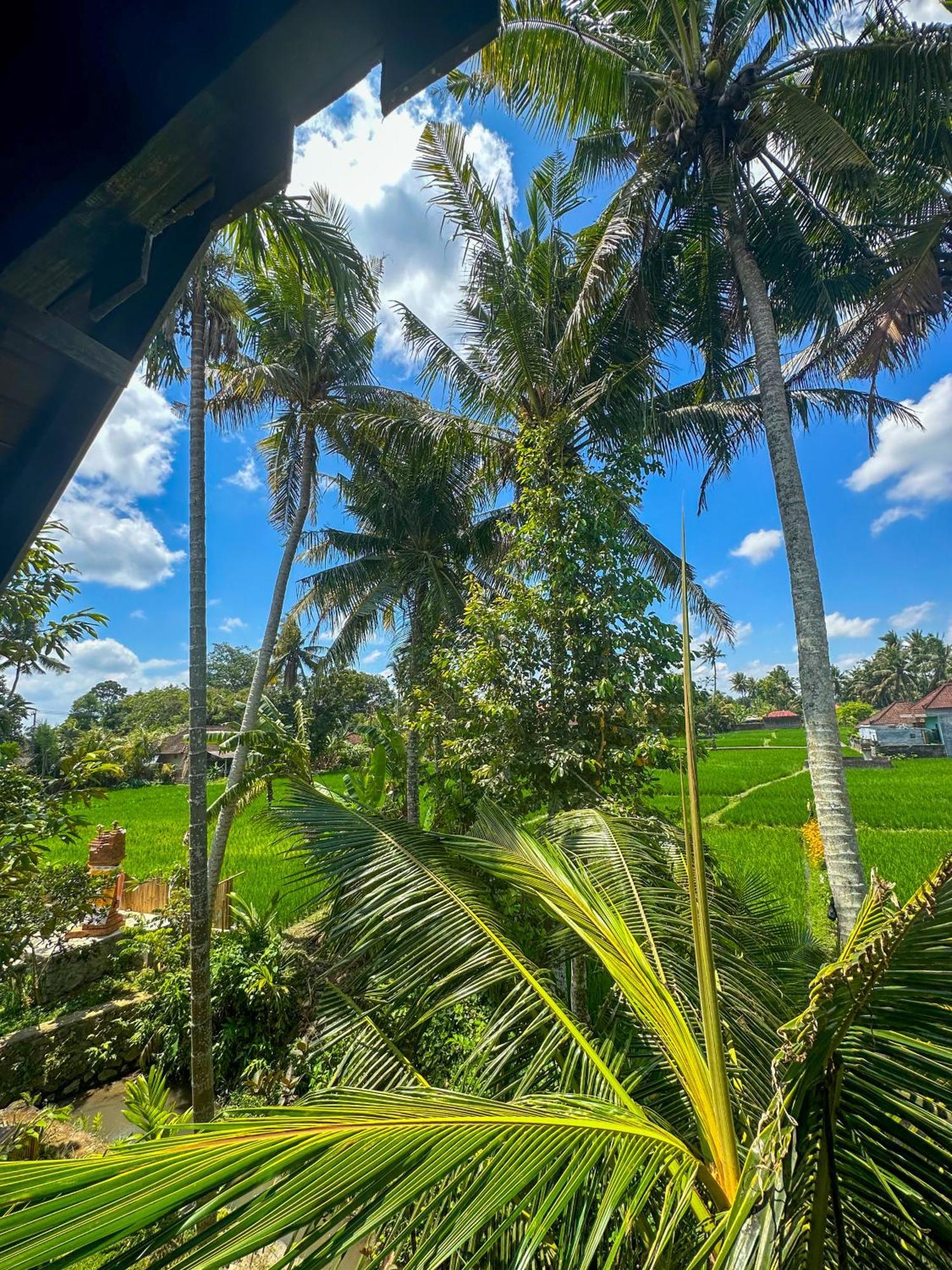 Отель Nunu Bali Eco Friendly Retreat Чангу Экстерьер фото