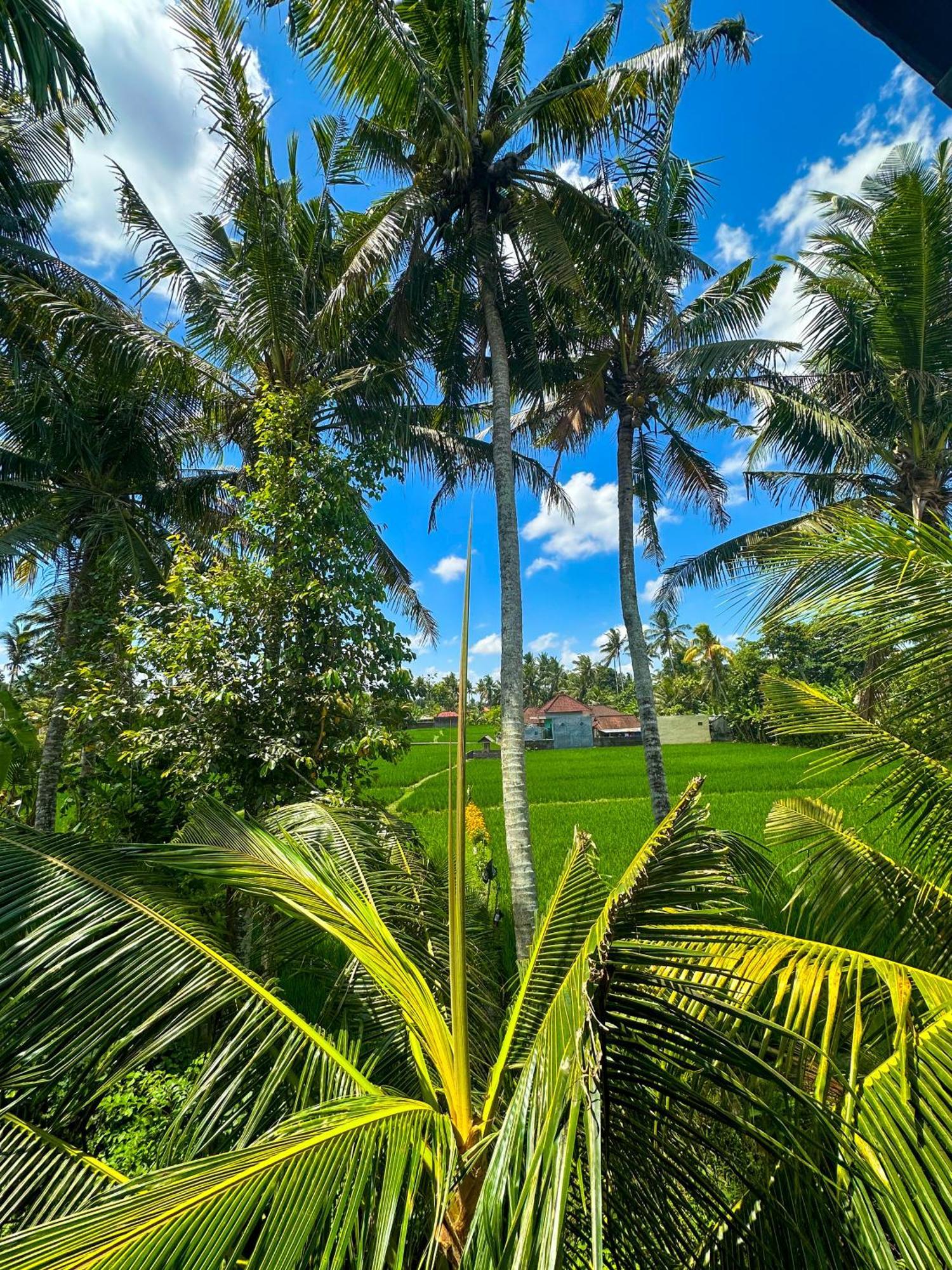 Отель Nunu Bali Eco Friendly Retreat Чангу Экстерьер фото