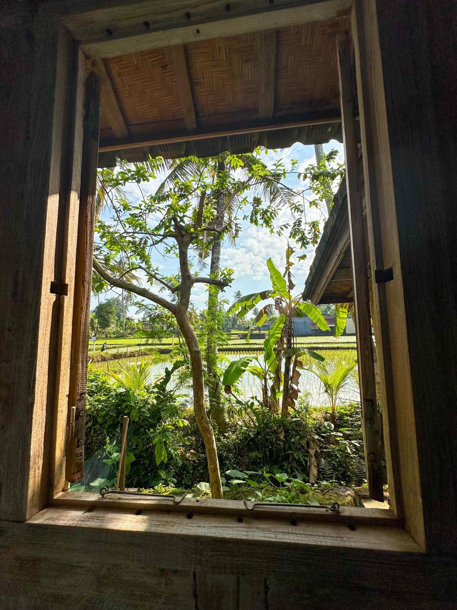 Отель Nunu Bali Eco Friendly Retreat Чангу Экстерьер фото