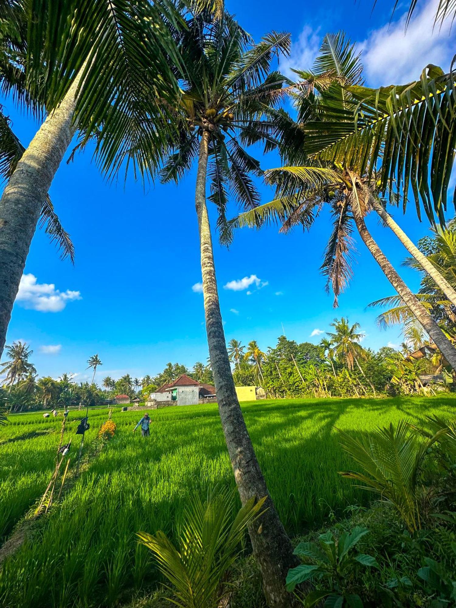 Отель Nunu Bali Eco Friendly Retreat Чангу Экстерьер фото