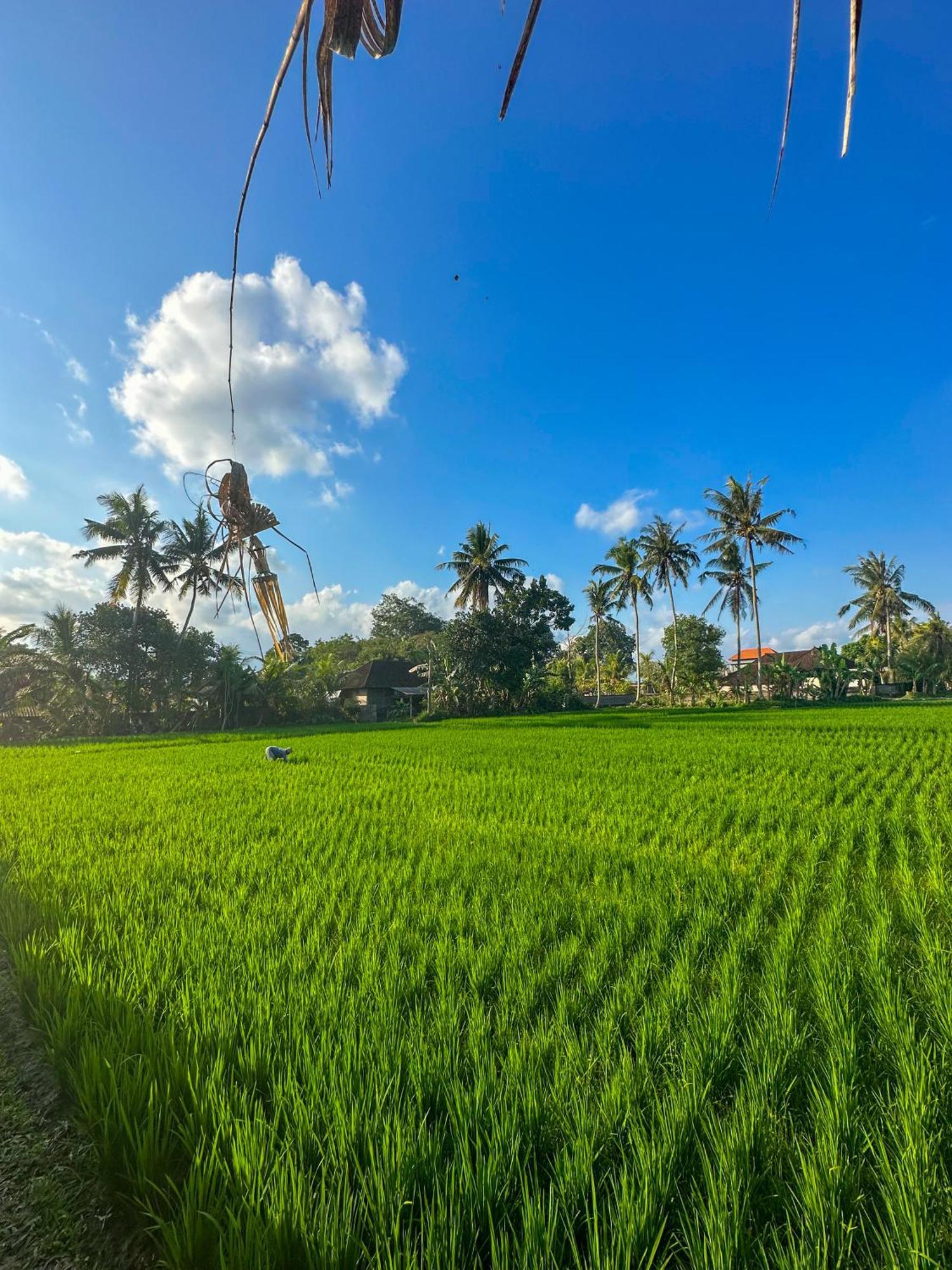 Отель Nunu Bali Eco Friendly Retreat Чангу Экстерьер фото